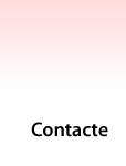 Contacte