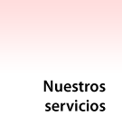 Servicios